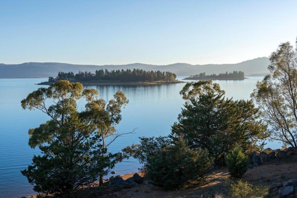 A view of lake Jindabyne surrounded by trees and an island in the middle full of trees at Discovery Parks Jindabyne 